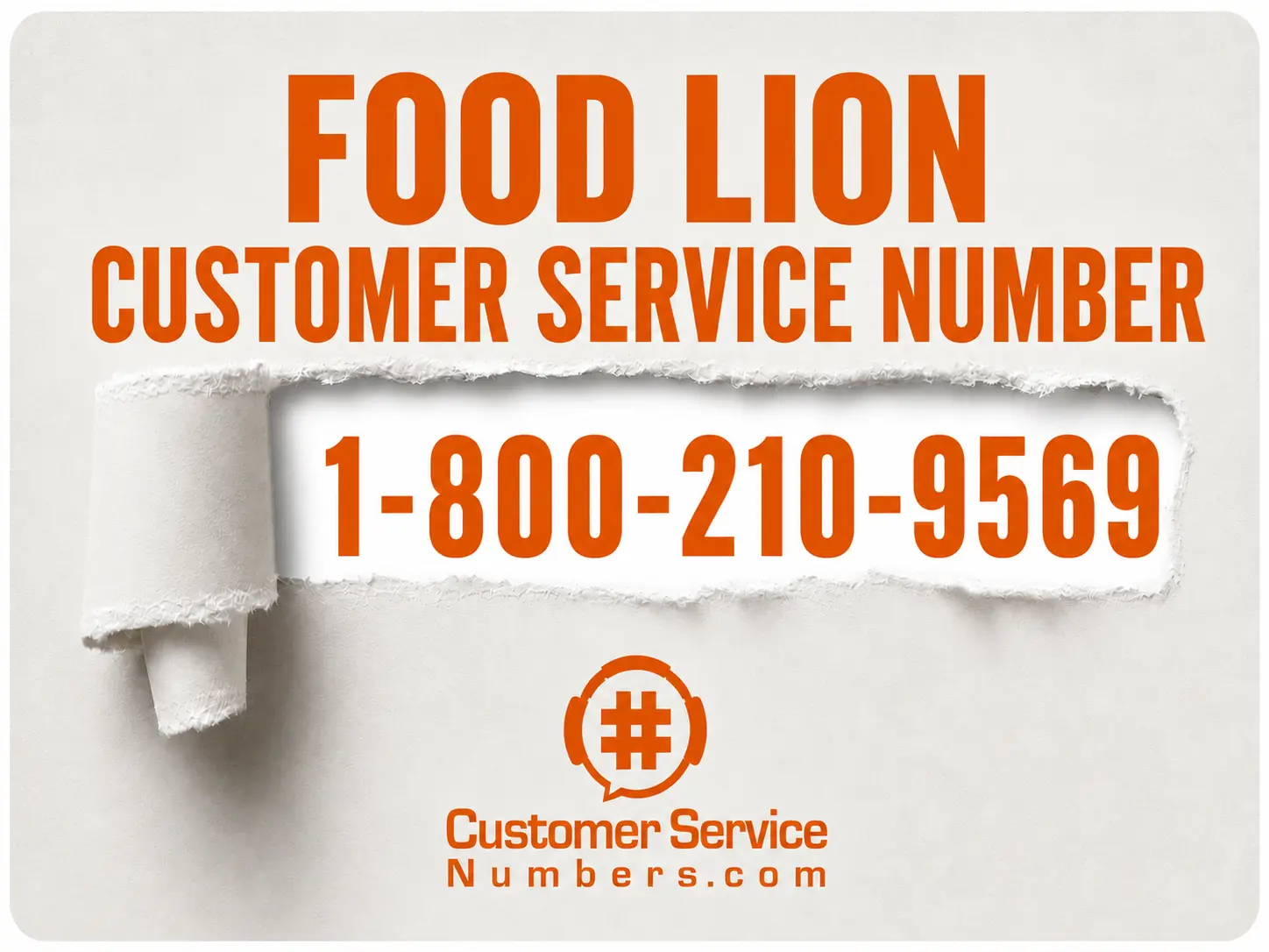 Food Lion customer service number 1-800-210-9569 on a CSN contact graphic.